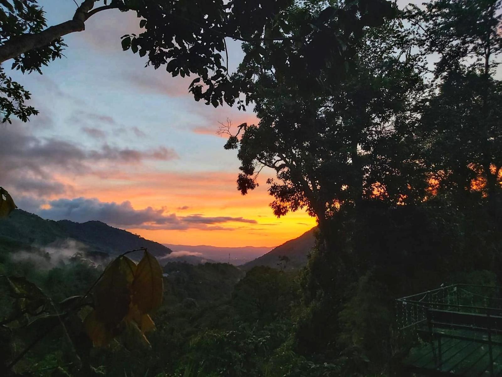 Talamanca Nature Reserve Rivas Экстерьер фото