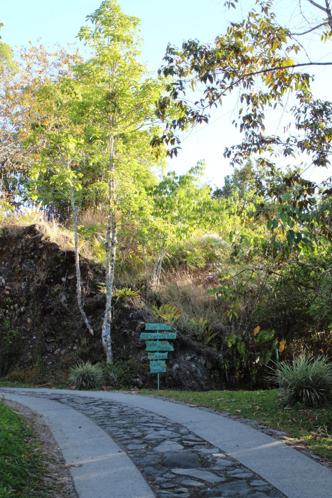 Talamanca Nature Reserve Rivas Экстерьер фото