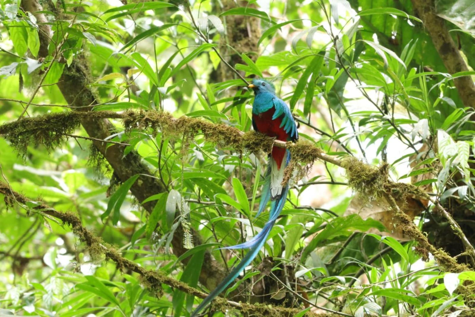 Talamanca Nature Reserve Rivas Экстерьер фото
