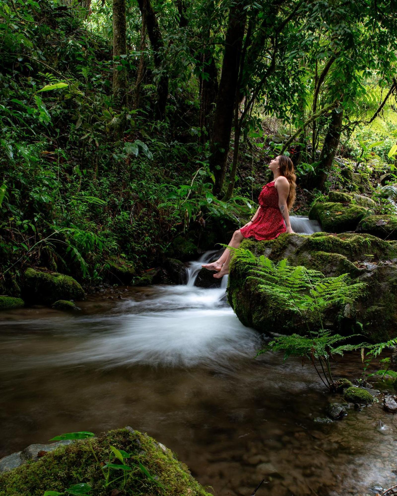 Talamanca Nature Reserve Rivas Экстерьер фото