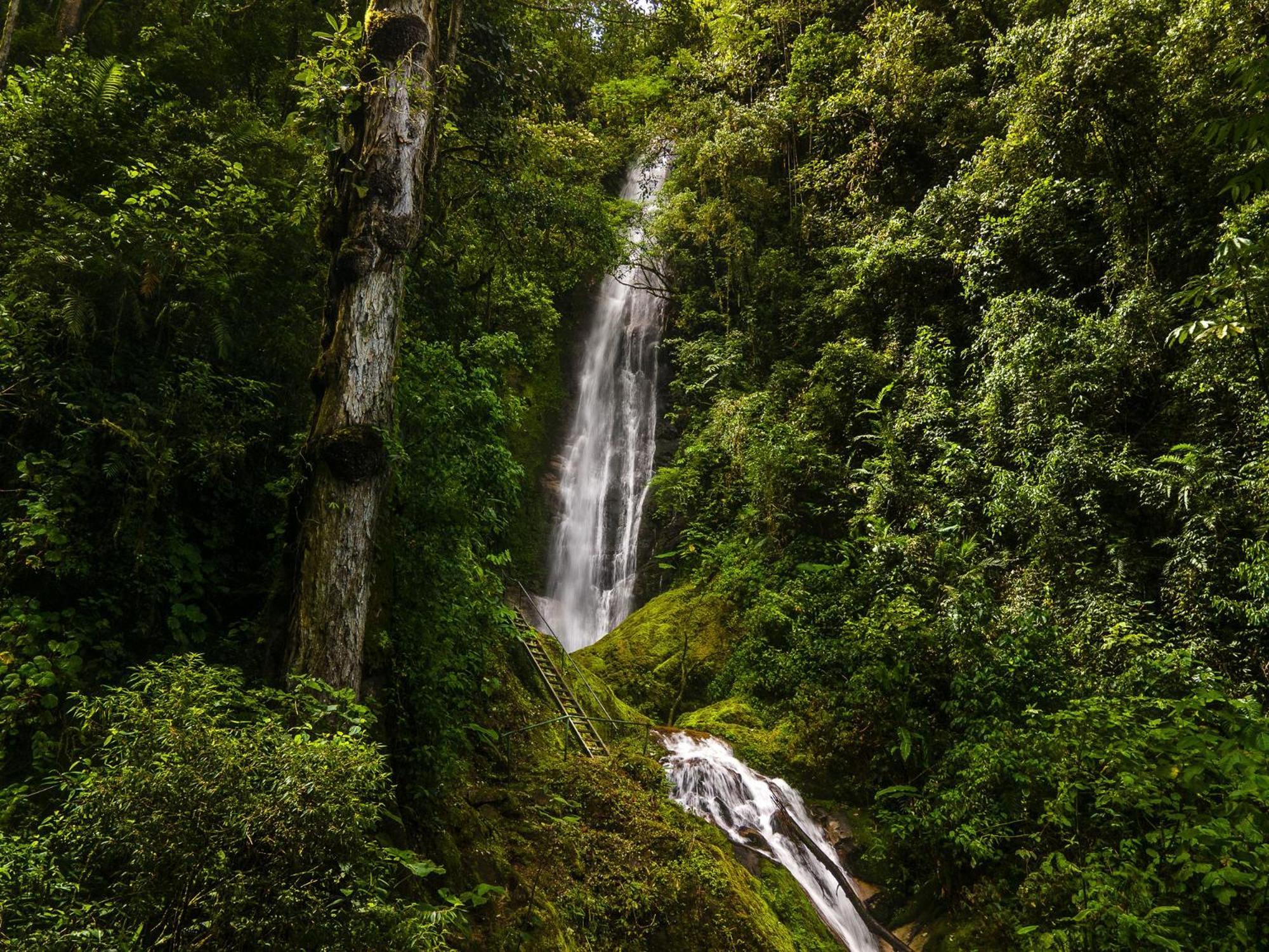 Talamanca Nature Reserve Rivas Экстерьер фото